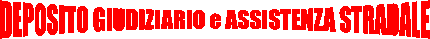 DEPOSITO GIUDIZIARIO e ASSISTENZA STRADALE